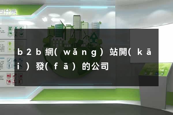 b2b網(wǎng)站開(kāi)發(fā)的公司