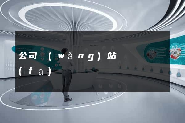 公司網(wǎng)站設計與開發(fā)