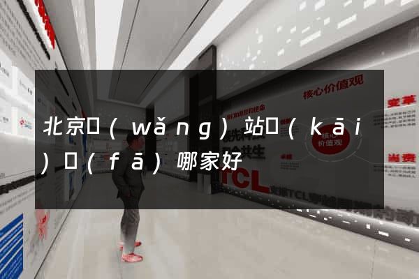 北京網(wǎng)站開(kāi)發(fā)哪家好