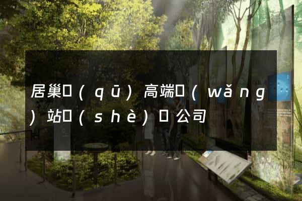 居巢區(qū)高端網(wǎng)站設(shè)計公司