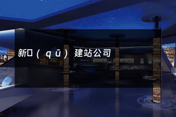 新區(qū)建站公司