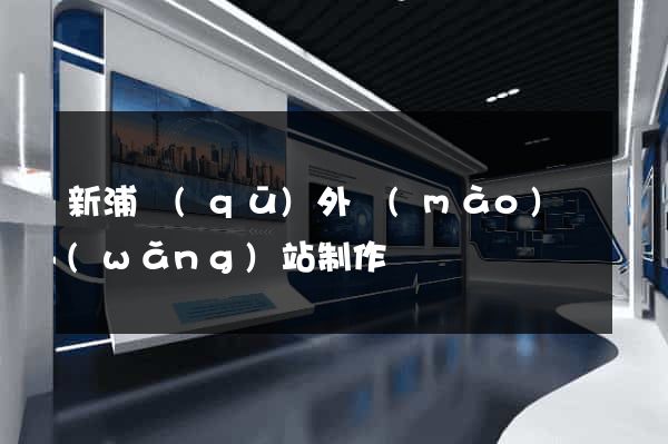 新浦區(qū)外貿(mào)網(wǎng)站制作