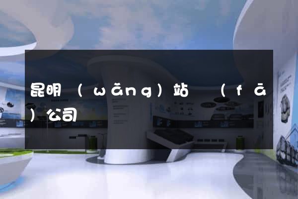 昆明網(wǎng)站開發(fā)公司