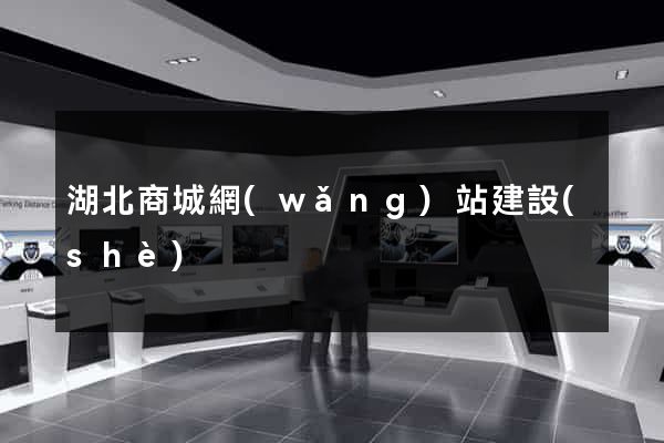 湖北商城網(wǎng)站建設(shè)