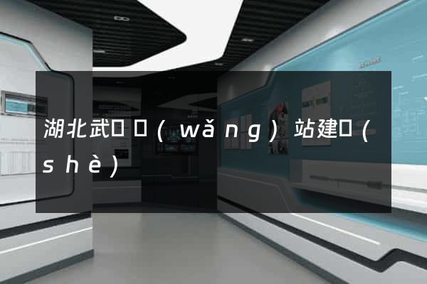 湖北武漢網(wǎng)站建設(shè)