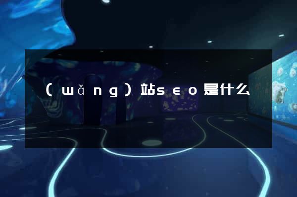 網(wǎng)站seo是什么