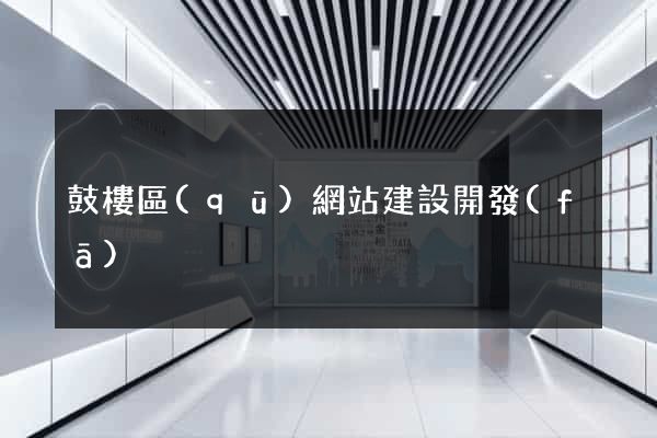 鼓樓區(qū)網站建設開發(fā)